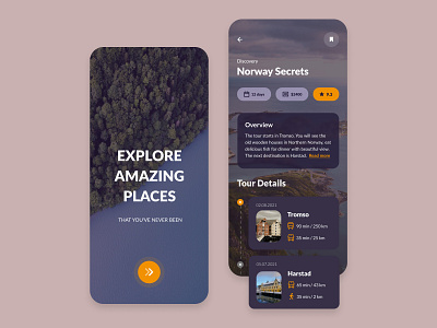 Travel App Mobile Design app app design design mobile mobile app mobile app design mobile design mobile ui travel travel app ui ui design uidesign uiux