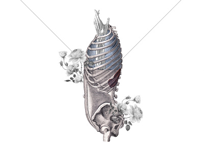 Anatomy - Day 123