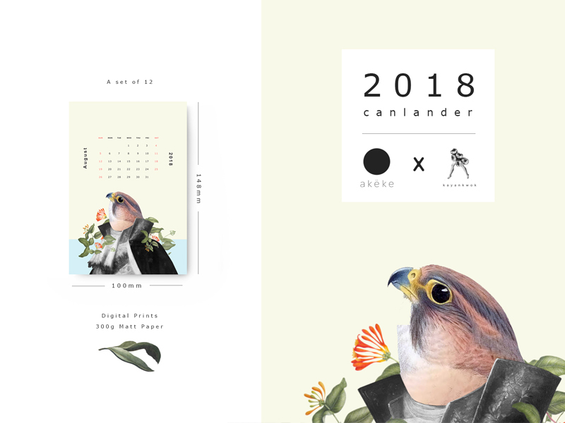 Birdman 2018 Calendar By Kayankwok On Dribbble 