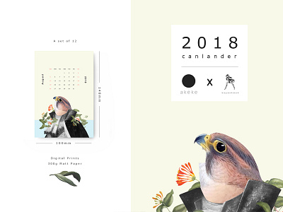 Birdman 2018 Calendar