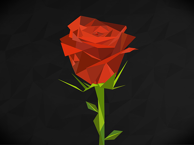 Rose flower illustration rose
