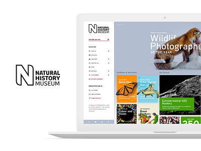 National History Museum Concept clean concept education minimalist nature photoshop prototype science ui website