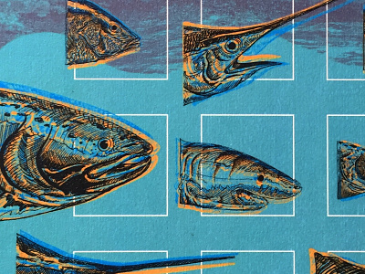 Aqua — Illustration Detail