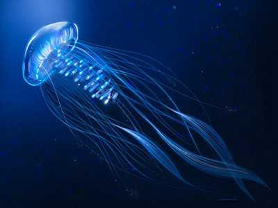 Jellyfish art blue digitalart glow illustration jellyfish magical procreate underwater