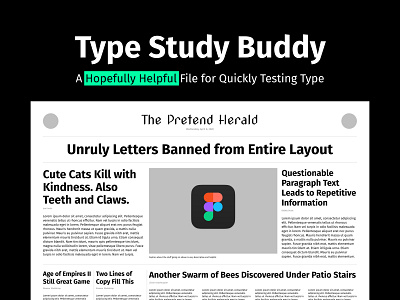Type Study Buddy figma type study typography