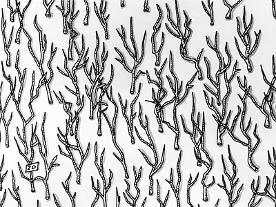Little Branches branch drawing flower handmade illustration ink leaf nankin pattern rapport