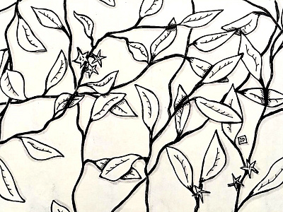 Branches And Leaves branch drawing flower illustration ink leaf leaves pattern star