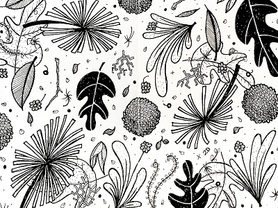 Messy Plant Pattern branch drawing flower illustration ink leaf leaves mess pattern sketch sketchbook