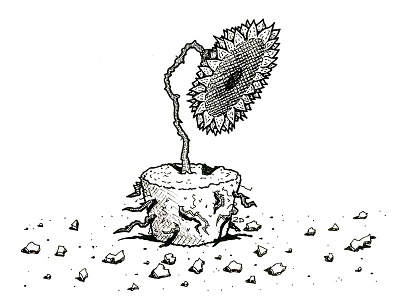 Broken Sunflower