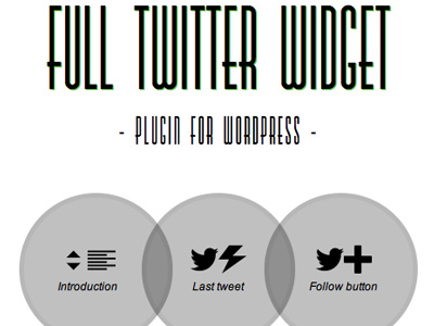 Full Twitter Widget