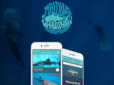 Maldives Whale Shark Research Programme App app ios maldives shark whale whale shark