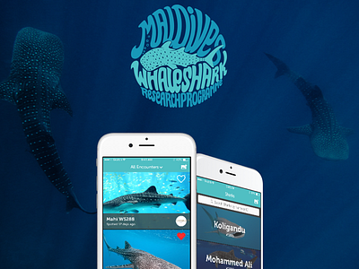 Maldives Whale Shark Research Programme App