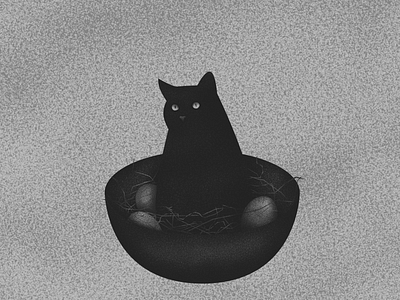 Black cat in a nest.