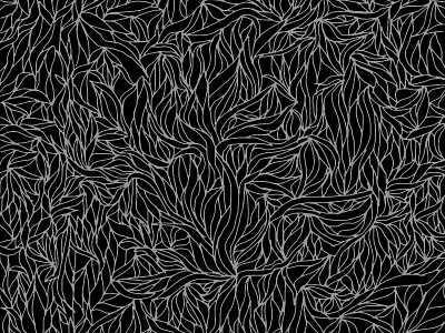 pattern floral illustration leaves lines pattern zebra