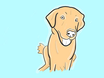 The "Luke" animal dog goldenretriever illustration ipadsketch minimal pupper