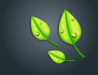 leaf with drop bio design drop eco green illustration leaf leaves nature vector