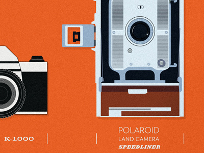 Film Cameras illustration