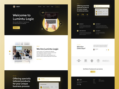 Lumintu Logic Website Redesign branding case study design icon design it landing page redesign ui ux web