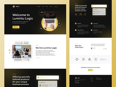 Lumintu Logic Website Redesign