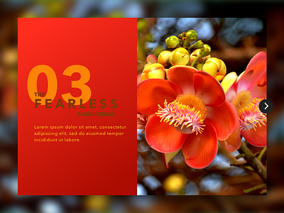 03 Cannonball Flower - Palatable Colors Floral Inspiration