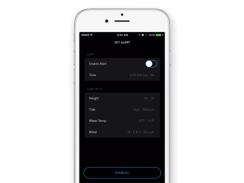 Surf Report Alert UI animation billabong gif ios surf report ui