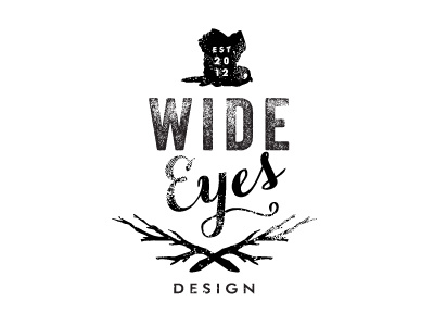 Wide Eyes Design Logo Concept