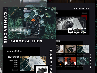 相机 camera web dailyui design illustration ui ux web web design