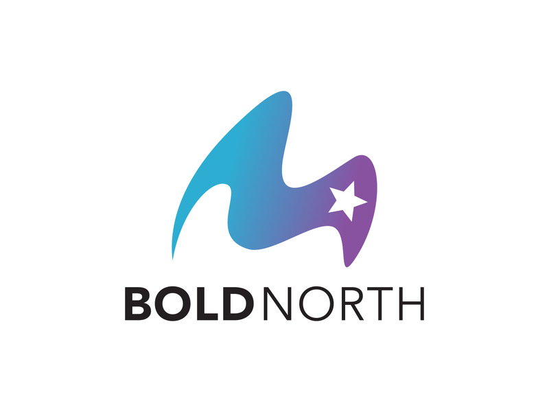 Logo: Bold North branding design logo vector