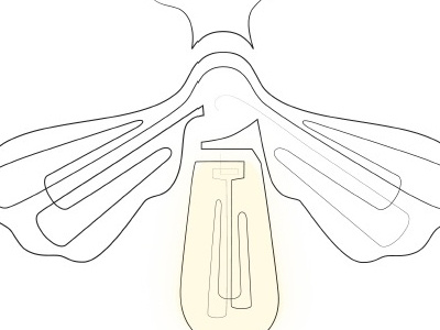 sketch light logo sketch