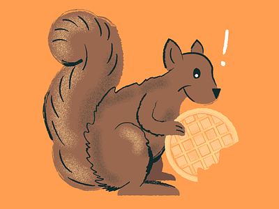 Waffle Squirrel breakfast brunch cute eating food furry hungry rodents squirrels waffles wildlife yummy