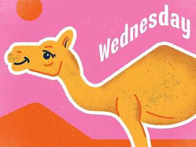 Hump Day animals bactrian camels days desert dromedary egypt heat hot weather nile river pink pyramids sand dunes sandy sunny texture wednesdays week wilderness wildlife