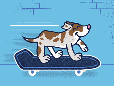 Skateboarding Dog