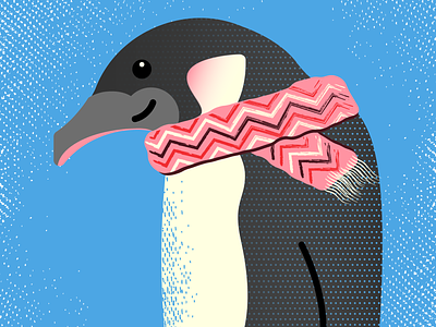 Penguin With A Scarf