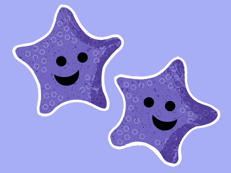 Starfish Friends animals ocean sea violet purple vector for kids cute friends starfish seastar