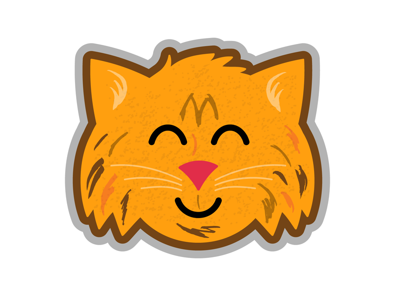 Maine Coon cats cat design cartoon animals illustrator cute illustration vector