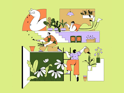 Green Grow Illustration design graphic design illustration