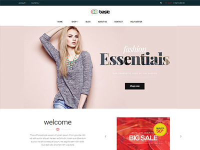 Basic Shopify Theme fashion responsive theme shopify ecommerce themes