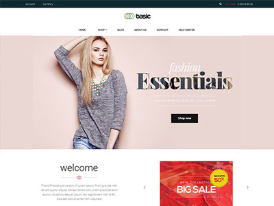 Basic Shopify Theme