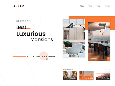 BLITZ - Luxurious Mansion Booking Website (Responsive UI) apartment branding elegant logo mansion minimalist uiux webdesign