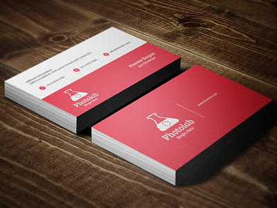 Photolab Business Cards brand buisness cards business gray lab logo photo red
