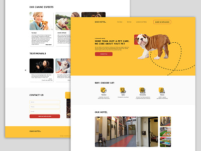 Website design for Dog Hotel.