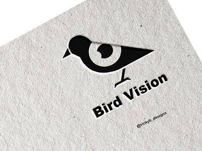 Bird Vision Logo branding design graphic design logo typography