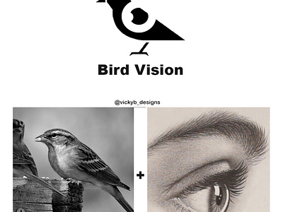 Bird Vision Brand branding design graphic design logo typography