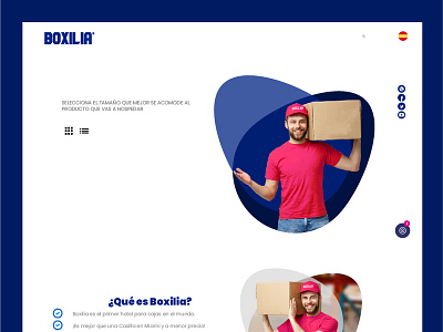 Web design Boxilia