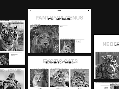 Exploration - Animal Education Website ui ui design uiux uiux design ux web web design website website design