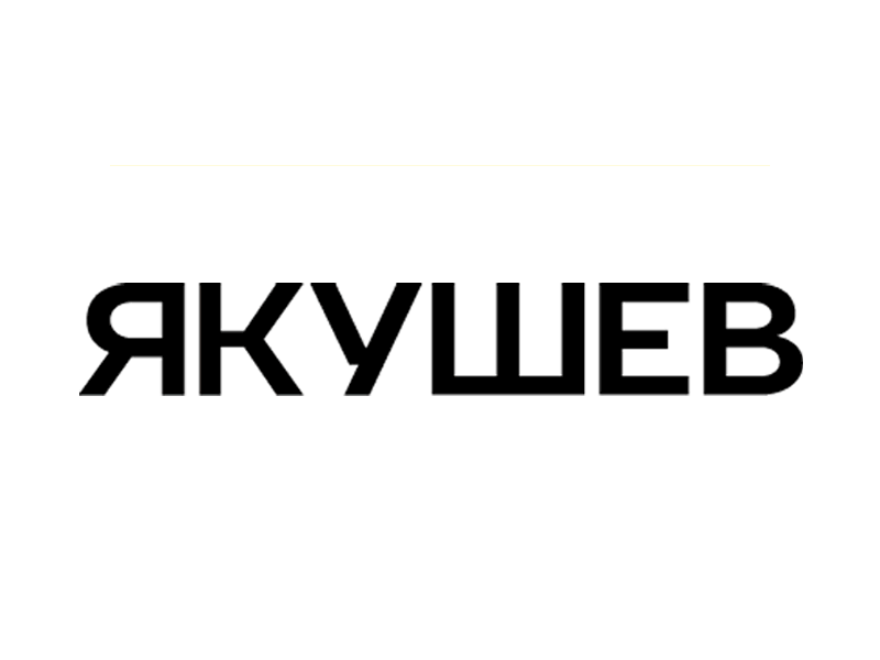 Якyшев personal branding animation art behance branding flexible identity personal pixel self snow transforming yakushev