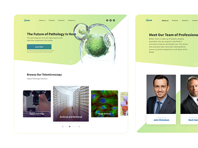 [Website - healthcare] Design for a full-service laboratory firm