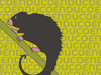 Fauna autóctona 4 design graphic design illustration