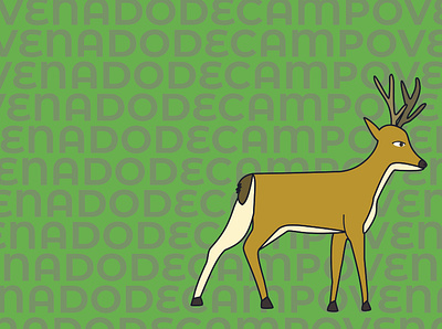 Fauna autóctona 6 design graphic design illustration