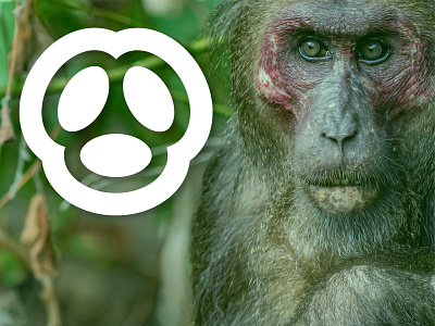 monkey logo